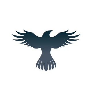 Telegram group profile photo for Raven Protocol