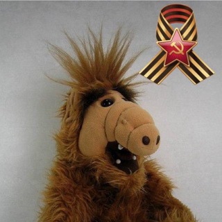 Telegram profile photo for Альф | Тролль