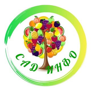 Telegram profile photo for САД - ИНФО