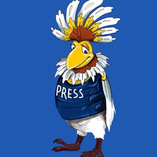 Telegram profile photo for Говорун, птица (ΣΘ)