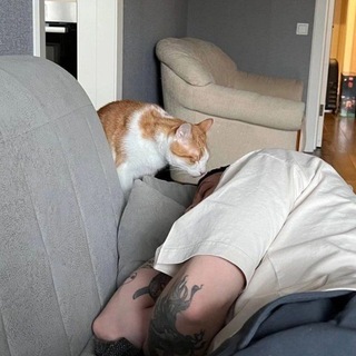 Telegram profile photo for Фатам-органа🐈