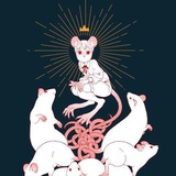 Telegram profile photo for ꒰ 🫀 ꒱ – 𝙍𝙖𝙩 𝙆𝙞𝙣𝙜
