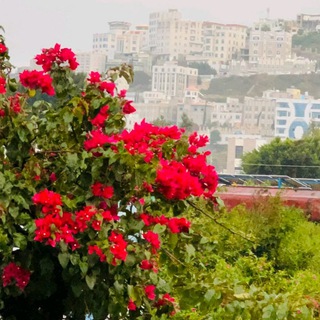 Telegram profile photo for ولنا في الطبيعه خيال