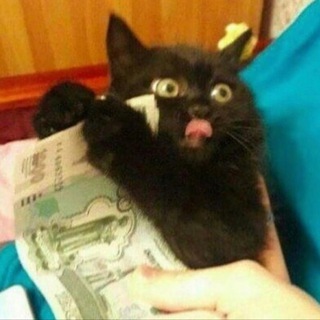 Telegram profile photo for Ну такое