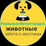 Telegram profile photo for Реальный Метрогородок_Dogs
