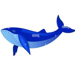 Telegram profile photo for PABLO WHALES BSC/ETH🐳