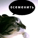 Telegram profile photo for LBC