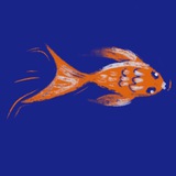 Telegram profile photo for ᎱᎪᏗᎬᏢᎬЙᏦᎪ галерейка