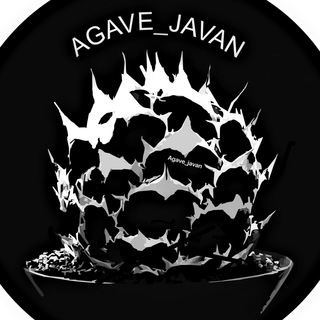 Telegram profile photo for 🌵agave_javan🌵