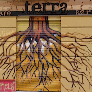 Telegram profile photo for Centre Social Terra