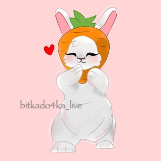 Telegram profile photo for bitkado4ka_live🌴