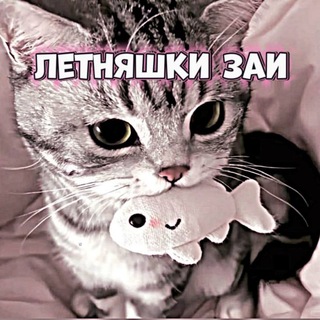 Telegram profile photo for >κᥲнᥲ᧘ ᧘ᥱᴛняɯᥱκ~^