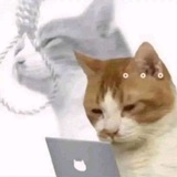Telegram profile photo for ягодка в коробке с чаем