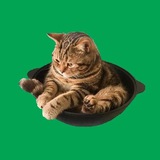 Telegram profile photo for Научный Казан