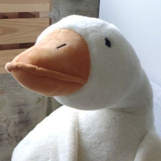 Telegram group profile photo for Вокруг флудилки/Стопка книжек на столе