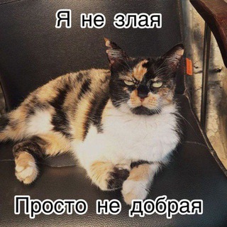 Telegram profile photo for ✧Дневник Злюки✧