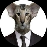Telegram profile photo for amsterdam