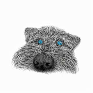 Telegram profile photo for Ника в кадре