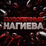 Telegram profile photo for Ручения от Нагиева