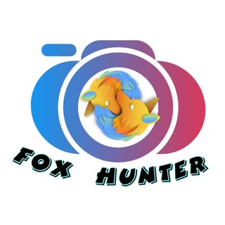 Telegram profile photo for FOX HUNTER