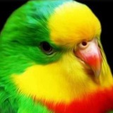 Telegram profile photo for Kal-Family