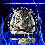 Telegram profile photo for domicile vgg