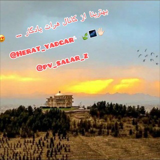 Telegram profile photo for هرات یادگار 𝑯𝑬𝑹𝑨𝑻 𝒀𝑨𝑫𝑮𝑨𝑹🌿