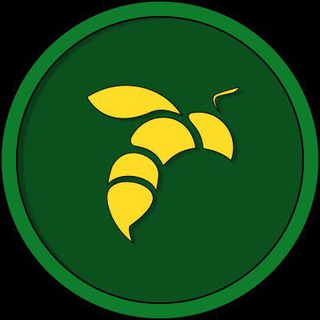 Telegram profile photo for TerraBEE Coin