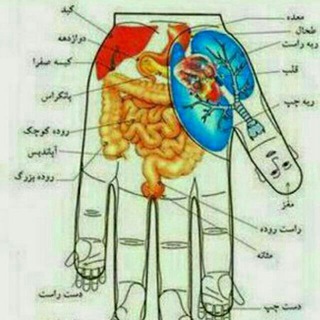 Telegram profile photo for سوجوک یعنی درمان بدون دارو