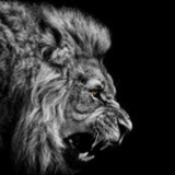 Telegram profile photo for درآمد دلاری