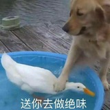 Telegram profile photo for 晔玚的出击报告