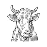 Telegram profile photo for @b_e_e_f