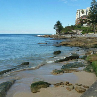 Telegram profile photo for Australia Zen