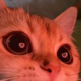 Telegram group profile photo for ВЗАИМНЫЙ ПИАР | ПИАР ЧАТ | ВЗ ПОДПИСКИ