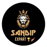 Telegram profile photo for SANDIP EXPART ๐ ๐