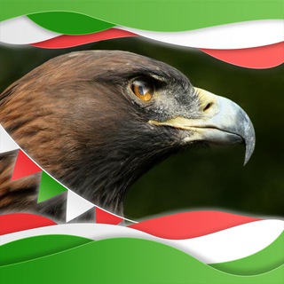 Telegram profile photo for L'Aquila Reale - Community Feedback Forum