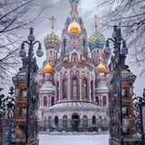 Telegram profile photo for Сдаём квартиры в Питере посуточно 89213579594