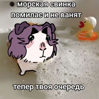 Telegram profile photo for рест//чуч᧐ʙᥴκᥙй хуяρᥙᴛ