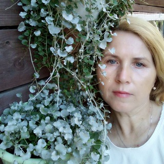 Telegram profile photo for Домик цветочницы
