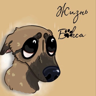 Telegram profile photo for Жизнь Бакса🫶