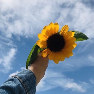 Telegram profile photo for كن قوياً لأجلك 💛