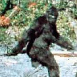 Telegram profile photo for BigFoot Russia