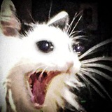 Telegram profile photo for Нанылкин ジ
