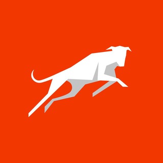 Telegram profile photo for Astro Hounds | News
