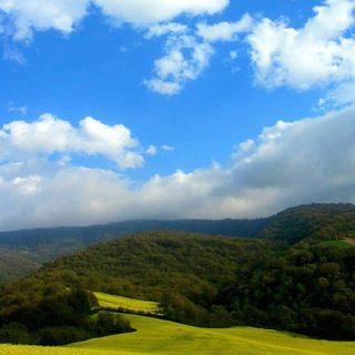 Telegram profile photo for كانال سهامداران