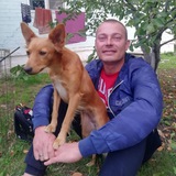 Telegram profile photo for НЕОконченный Роман с матрицей