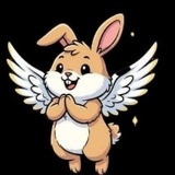 Telegram profile photo for $BISC