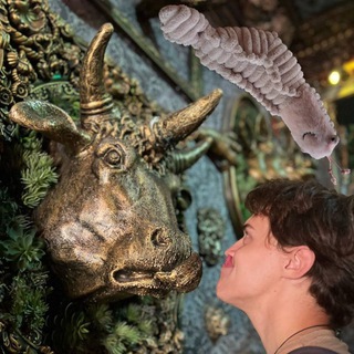 Telegram profile photo for Криветка в океане 🦐