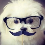 Telegram profile photo for CurorЧювакКрутойПочан.мп3