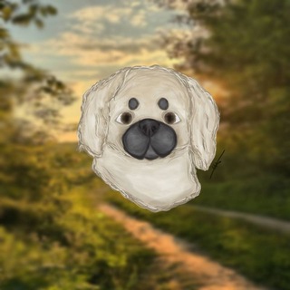 Telegram profile photo for Гᴩᴏɜный ᴨёᴄ